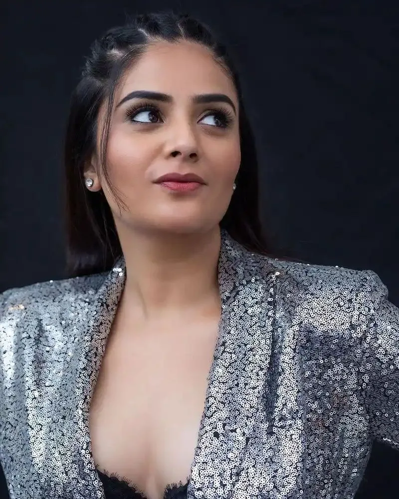 Anchor Sreemukhi 